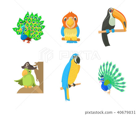 Exotic bird icon set, cartoon style Exotic bird icon set, cartoon style 40679831