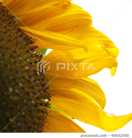 Element of energy 40682098