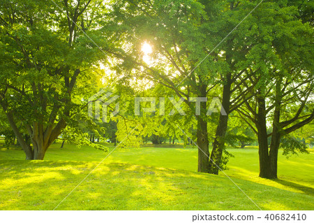 Park solar light 40682410