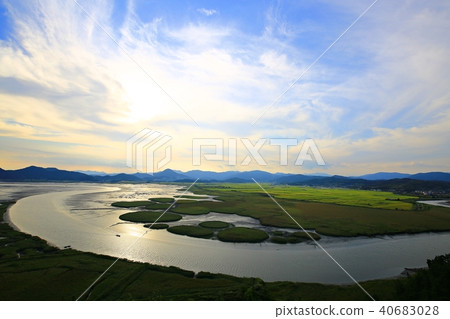 Natural Heritage "Suncheon Bay" 40683028