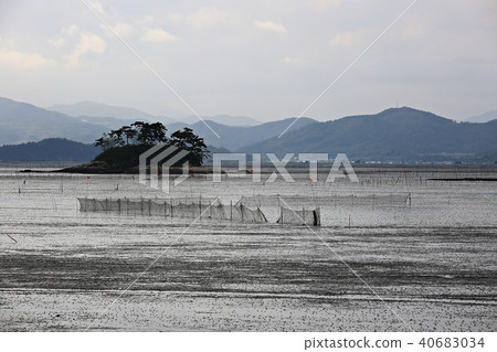 Natural Heritage "Suncheon Bay" 40683034