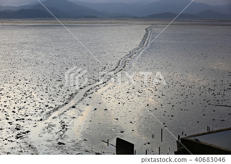 Natural Heritage "Suncheon Bay" Natural Heritage "Suncheon Bay" 40683046