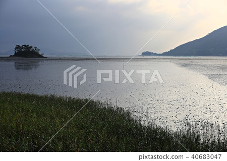 Natural Heritage "Suncheon Bay" Natural Heritage "Suncheon Bay" 40683047