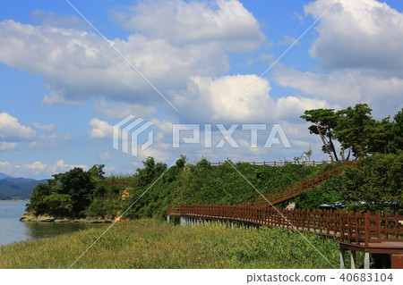 Natural Heritage "Suncheon Bay" 40683104