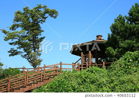 Natural Heritage "Suncheon Bay" 40683112
