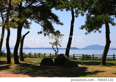 自然遺產“順天灣” 40683116