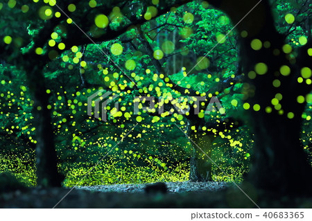 Hime ballar的節奏 40683365