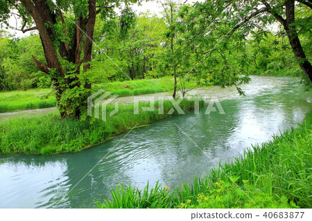 Confluence point of Ogi river and Mansui river of fresh green Azumino spring water 40683877
