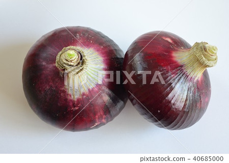 紅洋蔥 紅洋蔥 40685000