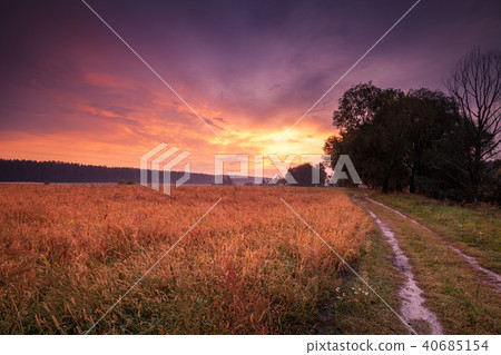 Rural autumn landscape, dirt road along the field 40685154