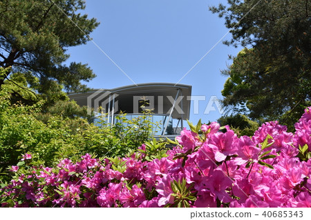 茅崎藝術博物館 40685343