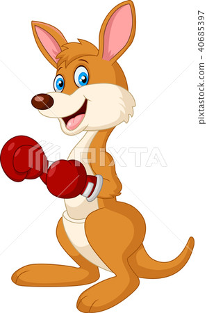 Kangaroo boxing Kangaroo boxing 40685397