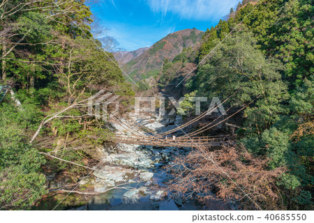 Kazura Bridge in Iya Kazura Bridge in Iya 40685550
