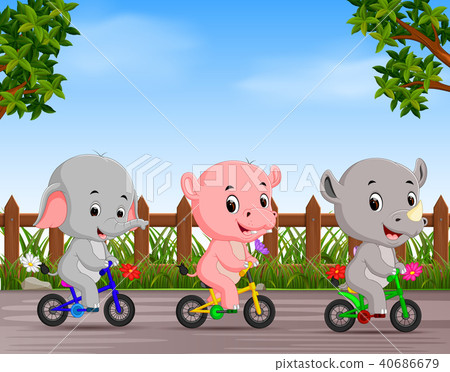 funny animals cycling in the road funny animals cycling in the road 40686679