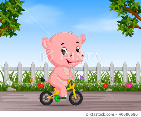 funny hippo cycling in the road funny hippo cycling in the road 40686680