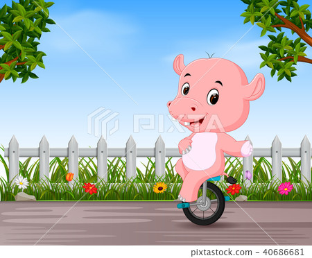 funny hippo playing unicycle in the road 40686681