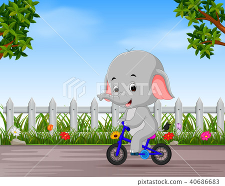 funny elephant cycling in the road funny elephant cycling in the road 40686683