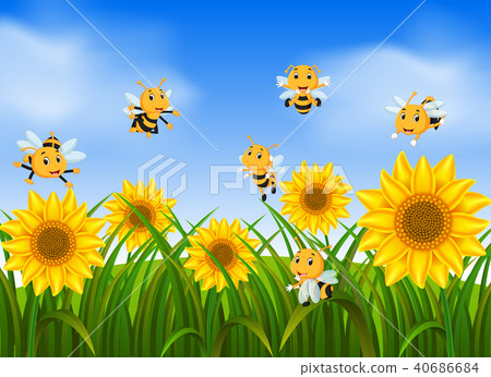 Bees flying in sunflower garden Bees flying in sunflower garden 40686684