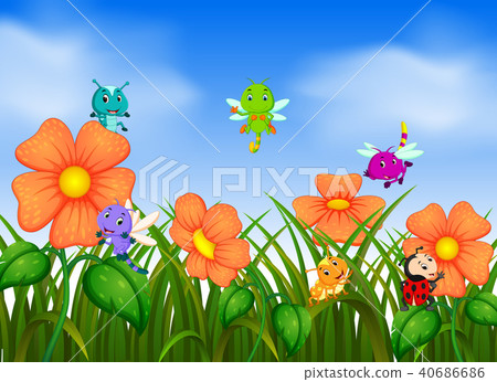 many insect flying in flower garden 40686686