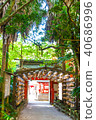宮崎（Aoshima）033 40686996