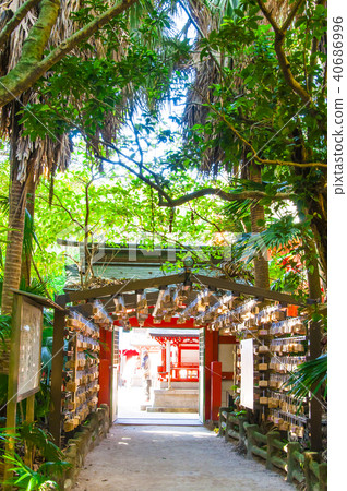 宮崎(Aoshima)033 宮崎(Aoshima)033 40686996