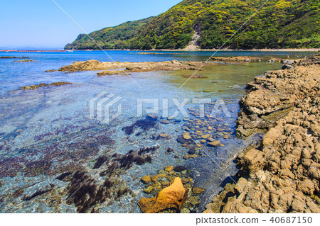 Kuroshima串的沙灘串的哈馬風箏[長崎縣佐世保市] 40687150