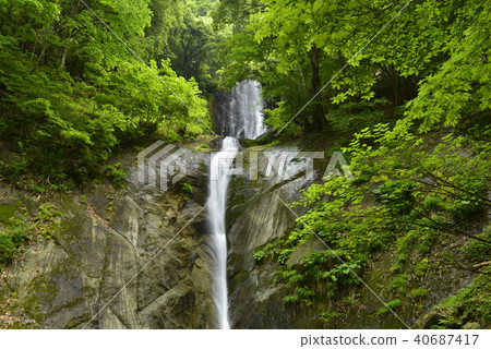 [Kami Town, Hyogo Prefecture] Saroo Waterfall (100 Selected Waterfalls in Japan) 40687417