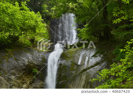 [Kami Town, Hyogo Prefecture] Saroo Waterfall (100 Selected Waterfalls in Japan) 40687420