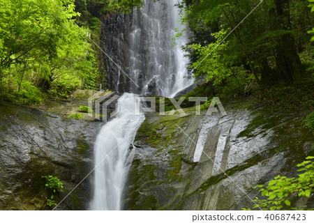 [Kami Town, Hyogo Prefecture] Saroo Waterfall (100 Selected Waterfalls in Japan) 40687423