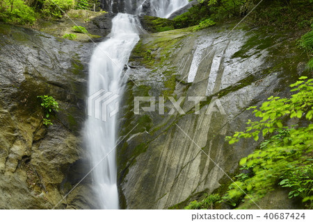 [Kami Town, Hyogo Prefecture] Saroo Waterfall (100 Selected Waterfalls in Japan) 40687424