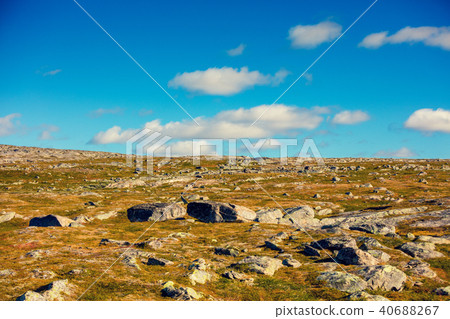 Arctic wilderness, tundra, minimalistic landscape Arctic wilderness, tundra, minimalistic landscape 40688267