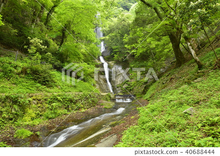 [Kami Town, Hyogo Prefecture] Saroo Waterfall (100 Selected Waterfalls in Japan) 40688444
