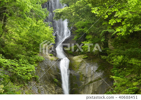 [Kami Town, Hyogo Prefecture] Saroo Waterfall (100 Selected Waterfalls in Japan) 40688451