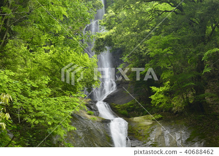 [兵庫縣上見市]薩魯瀑布（日本精選100個瀑布） 40688462