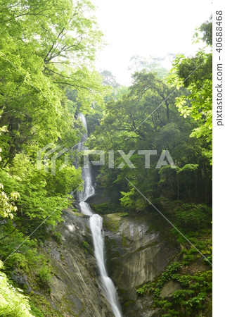 [兵庫縣上見市]薩魯瀑布（日本精選100個瀑布） 40688468