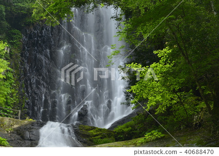 [Kami Town, Hyogo Prefecture] Saroo Waterfall (100 Selected Waterfalls in Japan) 40688470