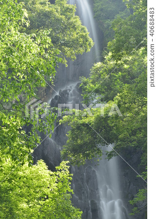 [Kami Town, Hyogo Prefecture] Saroo Waterfall (100 Selected Waterfalls in Japan) 40688483