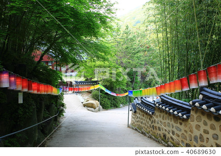 Buddha Day, Buddha Day, 40689630