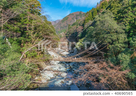 Kazura Bridge in Iya Kazura Bridge in Iya 40690565