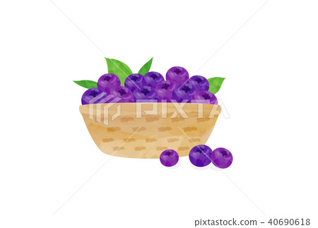 blueberry blueberry 40690618