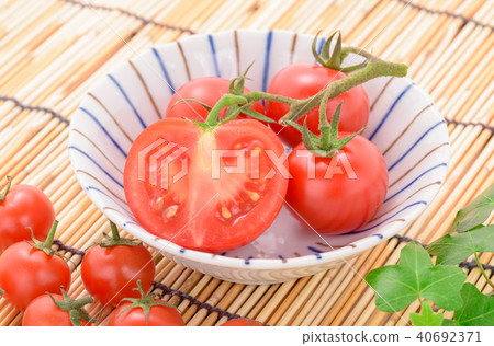 Tomato and Petit tomato 40692371