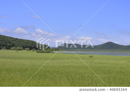 北海道·釧路沼澤附近的草原火山口湖Takocho湖 北海道·釧路沼澤附近的草原火山口湖Takocho湖 40693164