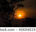 Tree behind The Sun 40694819