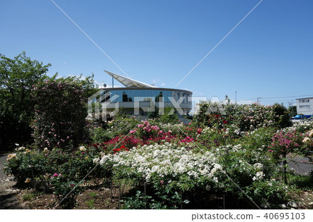 Road Station Meguma Agri Park Rose Garden 40695103