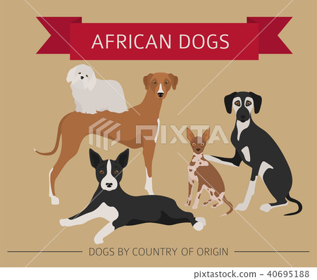 Dogs by country of origin. African dog breeds 40695188