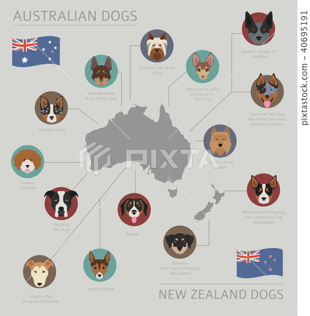 Dogs by country of origin. Australian dog breeds 40695191