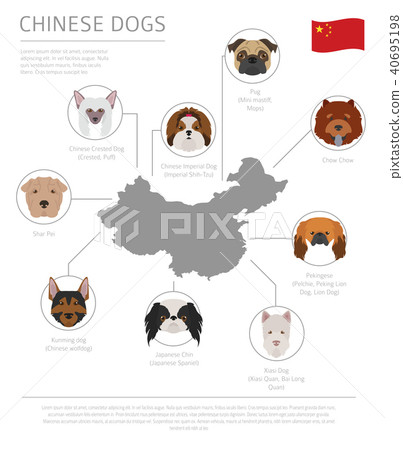 Dogs by country of origin. Chinese dog breeds Dogs by country of origin. Chinese dog breeds 40695198