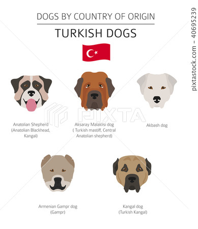 what breeds of dogs are in armenia