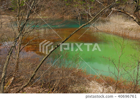 福島縣,多摩縣,Kita Shiobara村,Goshikinuma 福島縣,多摩縣,Kita Shiobara村,Goshikinuma 40696761