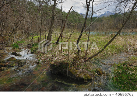 福島縣,多摩縣,Kita Shiobara村,Goshikinuma,菅沼 福島縣,多摩縣,Kita Shiobara村,Goshikinuma,菅沼 40696762
